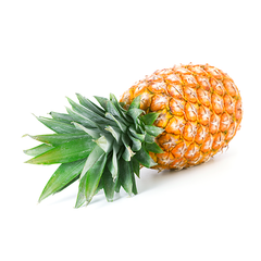 Pineapple (1 Piece)